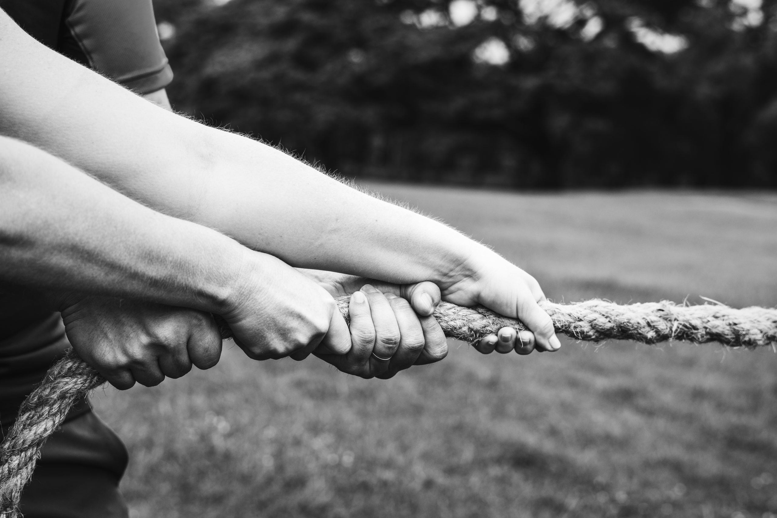 Keep That Rope Taught: The Power of Small Steps to Big Wins